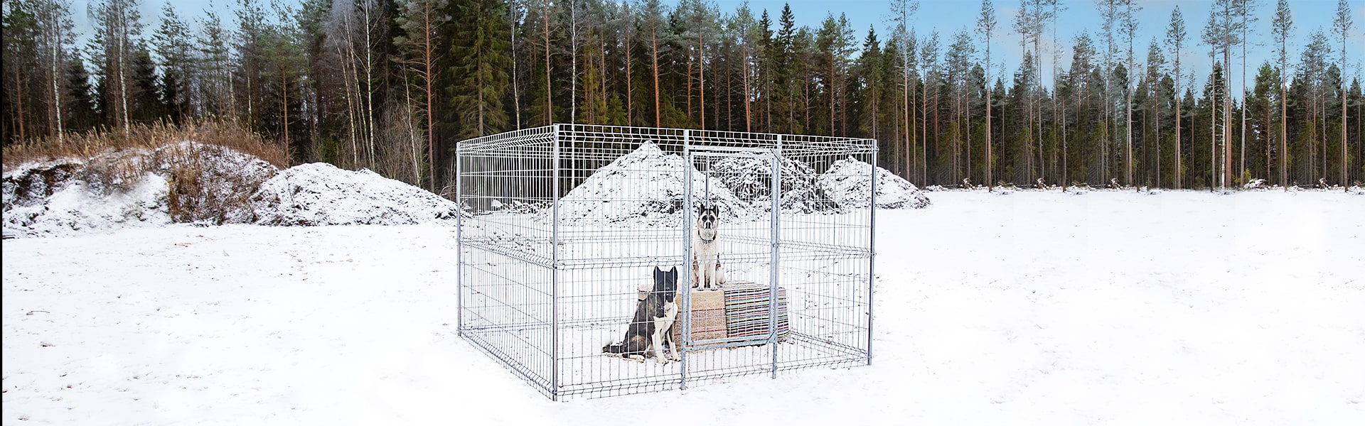 Dog enclosures